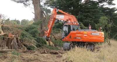 A Simple DIY Guide to Land Clearing