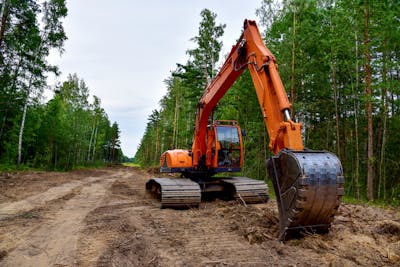 Land Clearing Cost Guide 2021: How much does it cost to clear land?