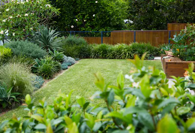 Landscaping in the Australian Summer Tips