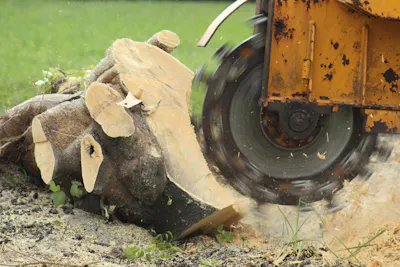 Stump Grinding Cost Guide | Get quotes on iseekplant